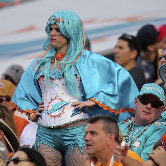 MIAMI GARDENS, FL - DECEMBER 21: A Miami Dolphins fan is shown in the stands during a game between the Miami Dolphins and the Minnesota Vikings at Sun Life Stadium on December 21, 2014 in Miami Garden ...