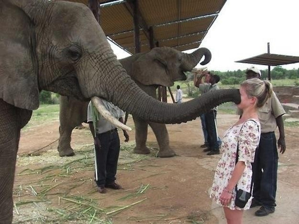 Die perfekte Freitags-Unterhaltung? Genau: Diese 27 Tierbilder\njaa 😎