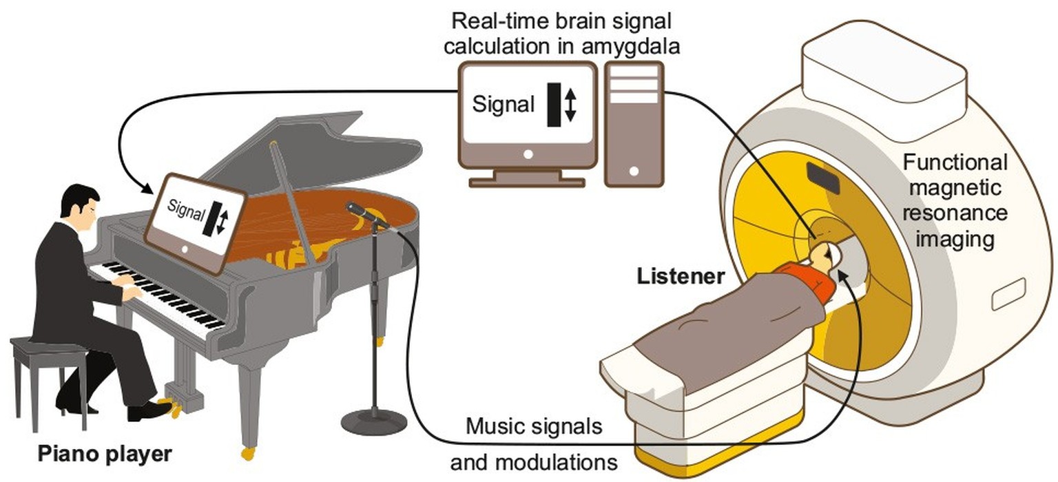 In an elaborately orchestrated experiment, the pianist continuously changed his live piano playing to increase the emotional response in the amygdala, the center of the brain's affective system.  H...