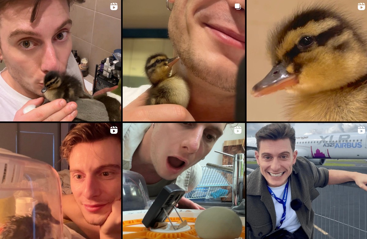 Duck Dad Riyadh Khalaf
https://www.instagram.com/riyadhk/?hl=en