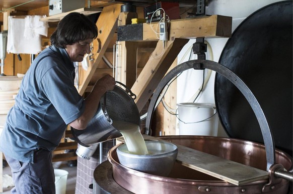 Baeuerin Margrit Kuebli schuettet frische Milch in das Kaesechessi, am Montag 15. Juli 2013, auf der Alp Horneggli im Saanenland. (KEYSTONE/Peter Schneider) --- ONE TIME USE ONLY, NO SALES, NO ARCHIVE ...