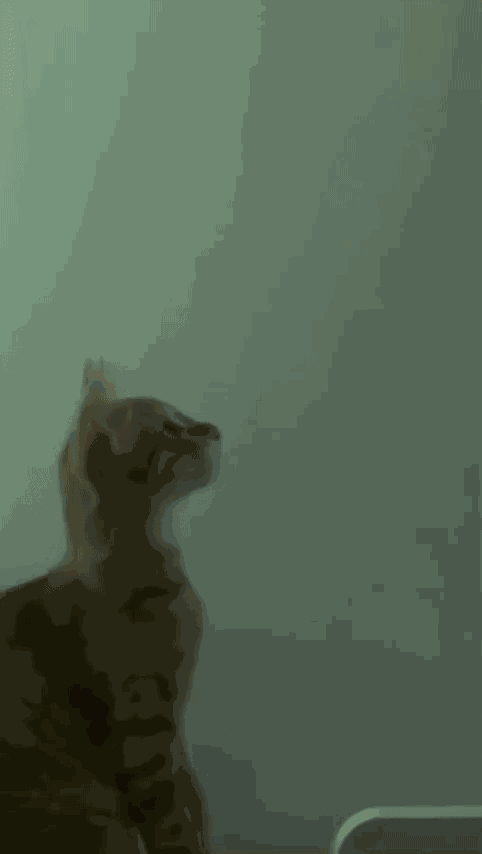 Animiertes GIF