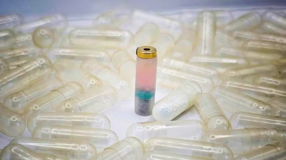 In Zukunft wollen die Forschenden den schluckbaren Drucker weiterentwickeln.