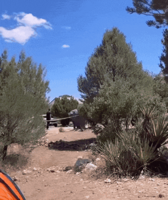 Animiertes GIF