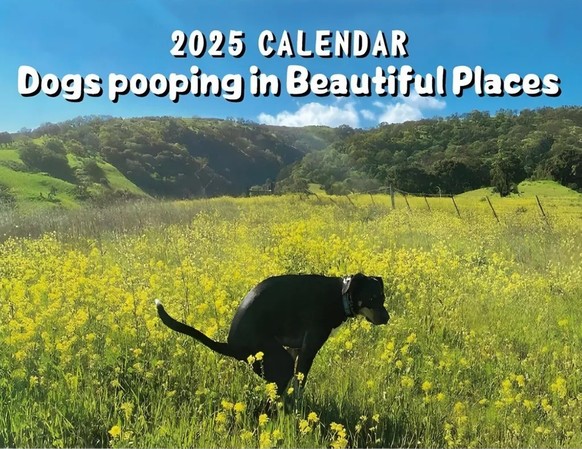 2025 Calendar Dogs Pooping in Beautiful Places https://i.etsystatic.com/47392630/r/il/7ef4eb/6198912770/il_fullxfull.6198912770_7h42.jpg