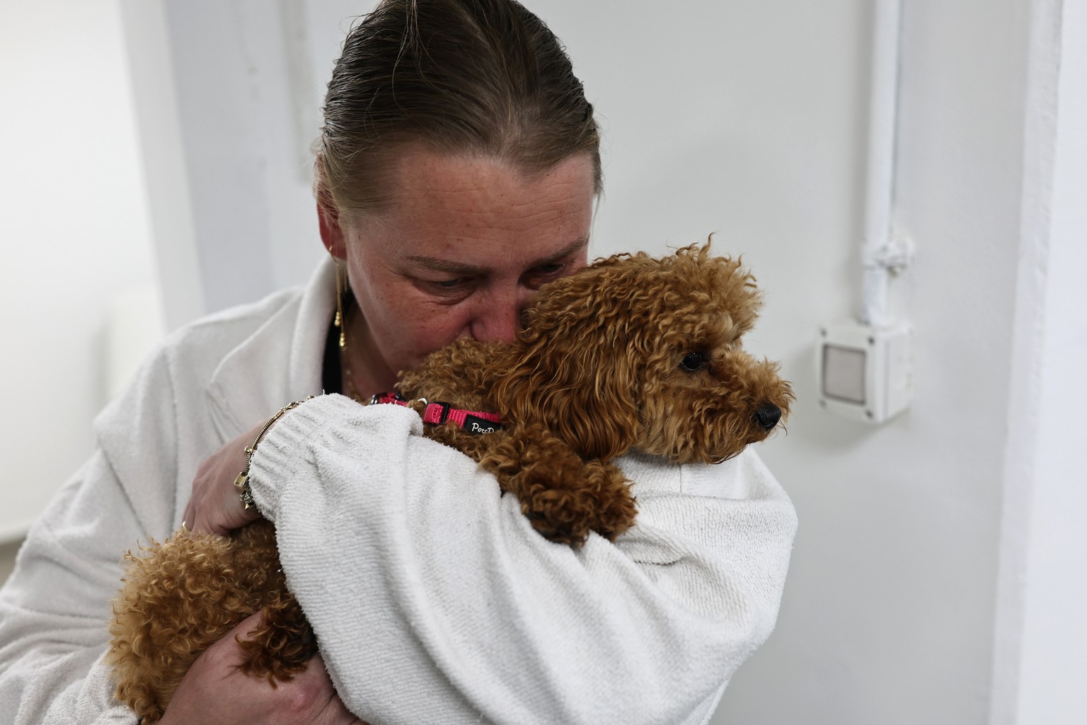 epaselect epa12865315 An Israeli woman holds a dog as Israelis participate in a Passover Seder ritual feast inside a public bomb shelter in Kiryat Shmona, northern Israel, near the Lebanese border, 01 ...