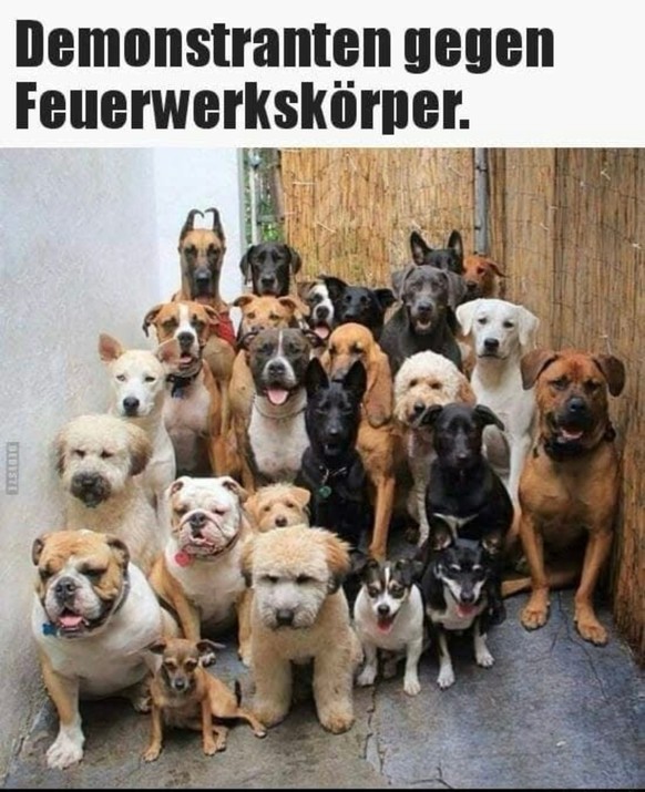 Feuerwerk Meme