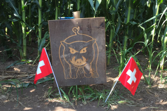 Wer findet alle Wildschweine?