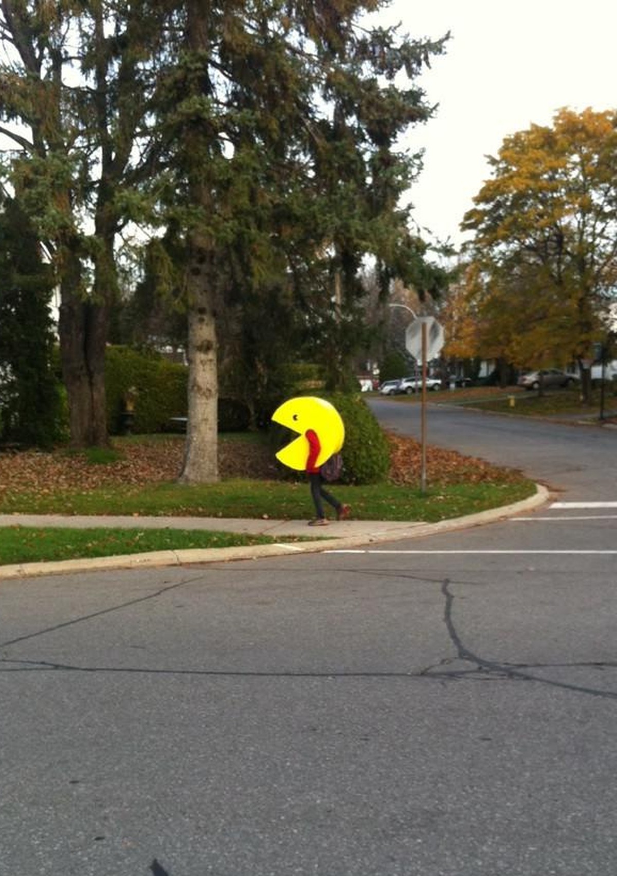 Pacman