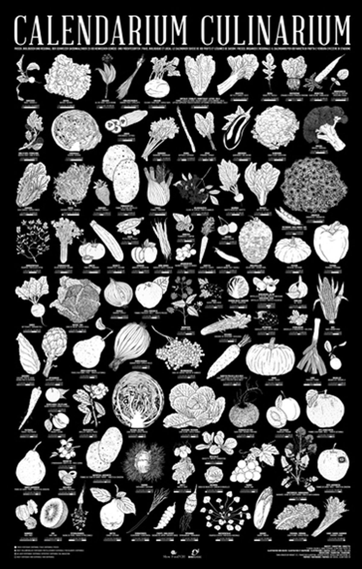 Der Gemüsekalender von Slow Food Youth – nicht nur praktisch, sondern auch schön.