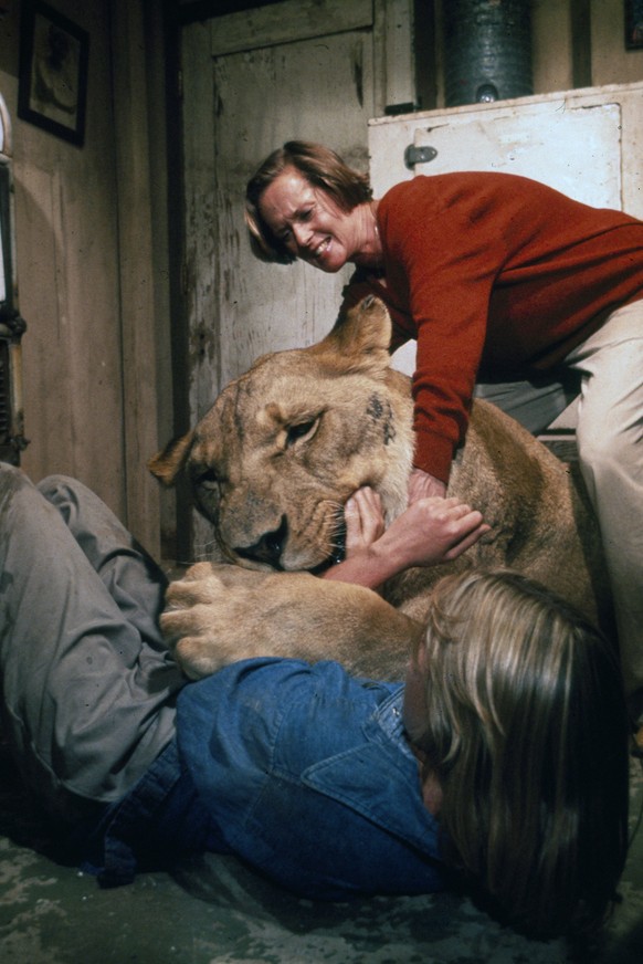 This photo provided by Drafthouse Films and Olive Films shows actresses Melanie Griffith, front, and Tippi Hedren in a scene from the film, “Roar.” The film is releasing in U.S. theaters for the first ...