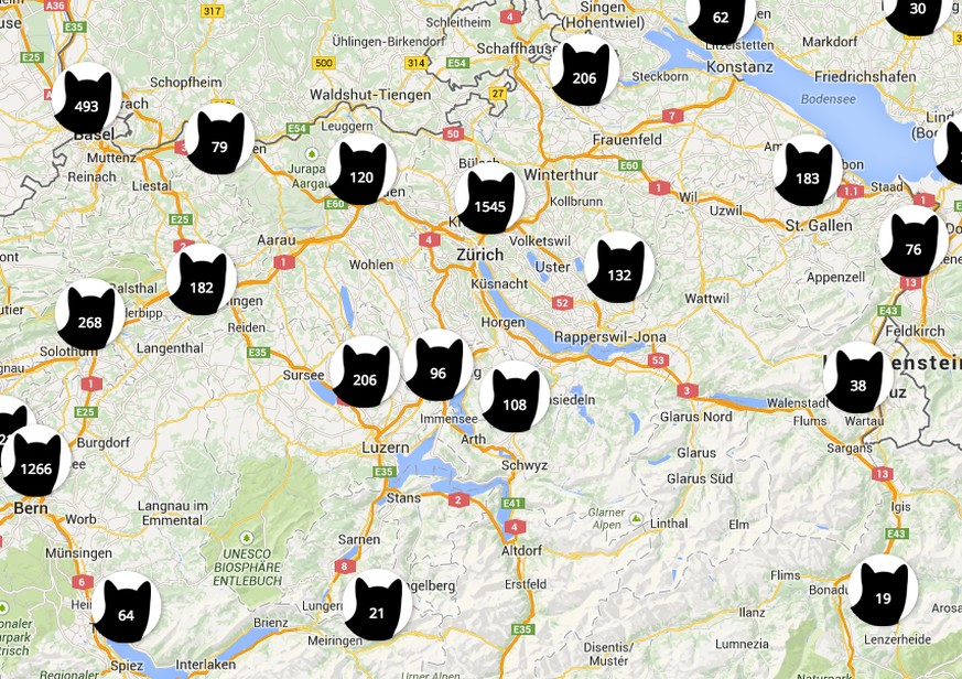 Katzenbilder aus der Schweiz, ziemlich genau positioniert.