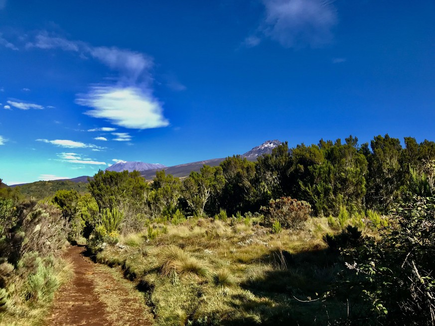 Kilimanjaro Mountainbike MTB
