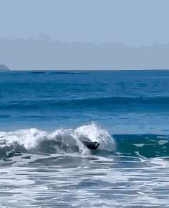 Animiertes GIF