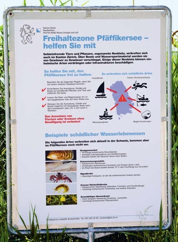 Plakate am See informierten vor Ort, wie Neobiota aus dem Pfäffikersee ferngehalten werden können.