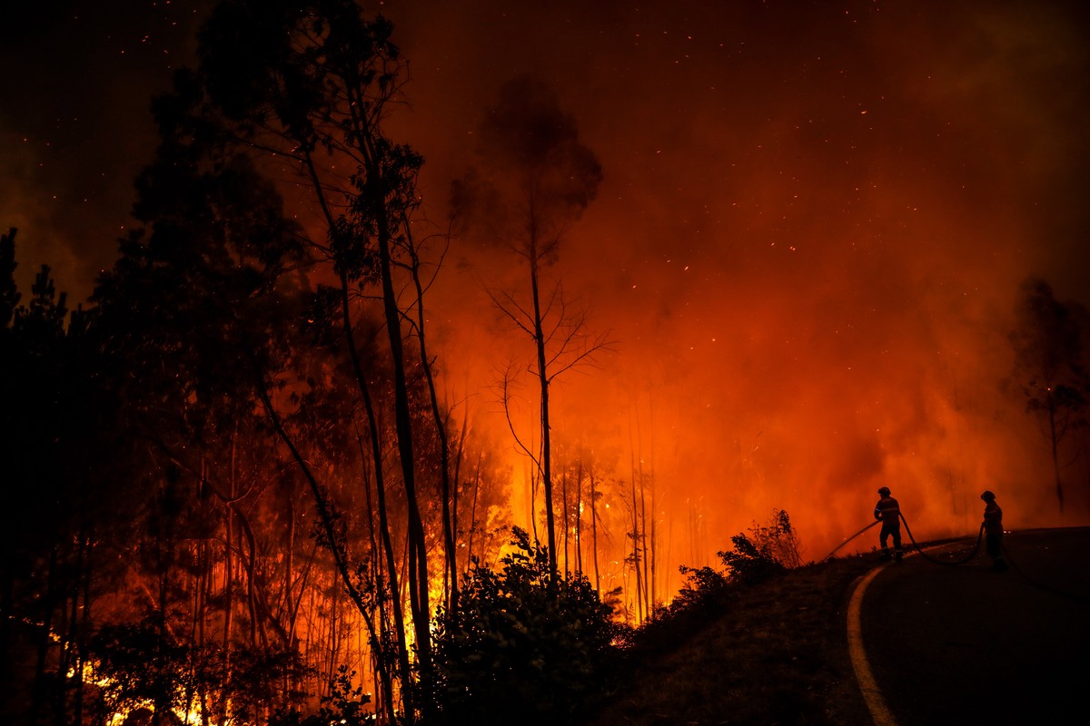 epa10067754 A wildfire burns forest in the surroundings of the village of Memoria, in the municipality of Leiria, in the center of Portugal, 12 July 2022. Four fires in the districts of Santarem and L ...