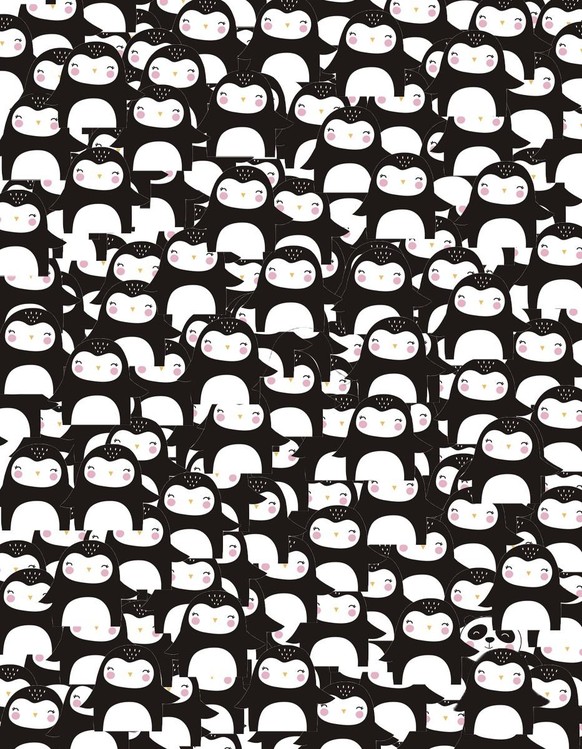 panda pingu augequiz sinne schärfen