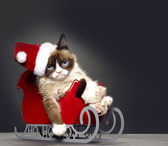 This undated photo provided by Lifetime shows Grumpy Cat, who stars in the Lifetime network&#039;s live-action film &quot;Grumpy Cat&#039;s Worst Christmas Ever.&quot; Before the movie aired on Nov. 2 ...