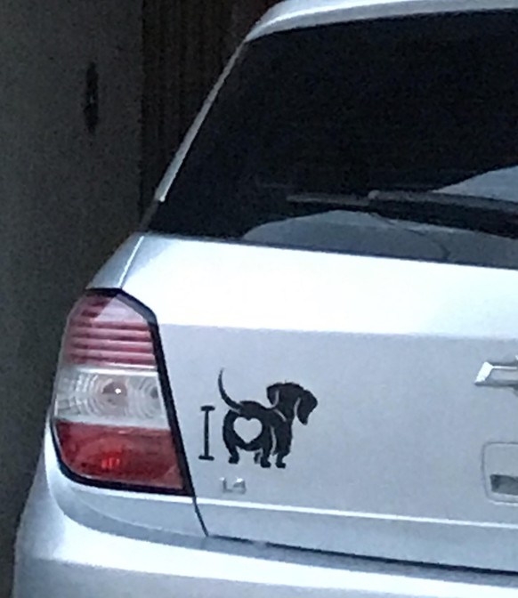Dachshund Car Sticker