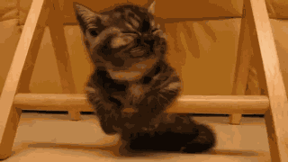 Animiertes GIF