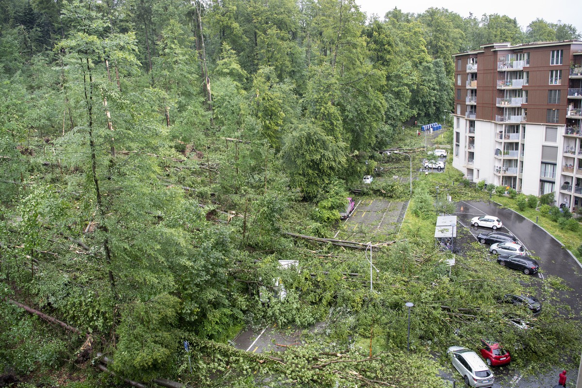 Umgestuerzte Baeume und abgebrochene Aeste haben nach dem schweren Unwetter auf dem Kaeferberg in Zuerich am Dienstag, 13. Juli 2021, Autos begraben und stark beschaedigt. Kraeftige Gewitter mit Stark ...