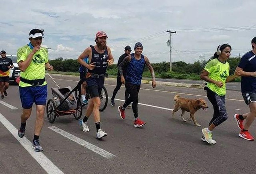 130 Kilometer begleitete in der streunende Hund. Danach fand er ein neues Herrchen.