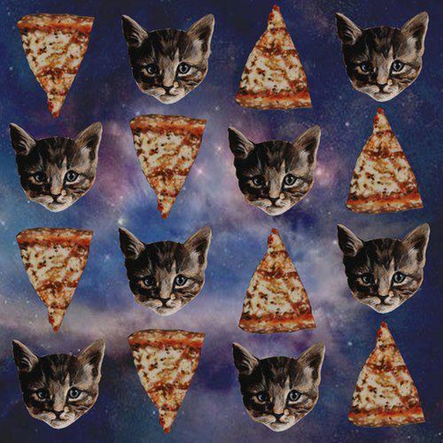 Katze, pizza