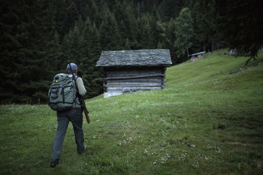 Andreas Engler ist unterwegs am ersten Tag der Buendner Hochjagd, am Samstag, 1. September 2018, in Bondo. Die Jagd im Kanton Graubuenden ist mit Abstand die groesste in der Schweiz. Ueber 5000 Jaeger ...