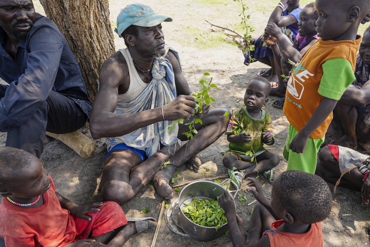 A displaced man and children rip leaves off branches, preparing to boil and eat them, in Kowach village in Canal Pigi county, Jonglei State, South Sudan Friday, May 5, 2023. In 18 months the country i ...