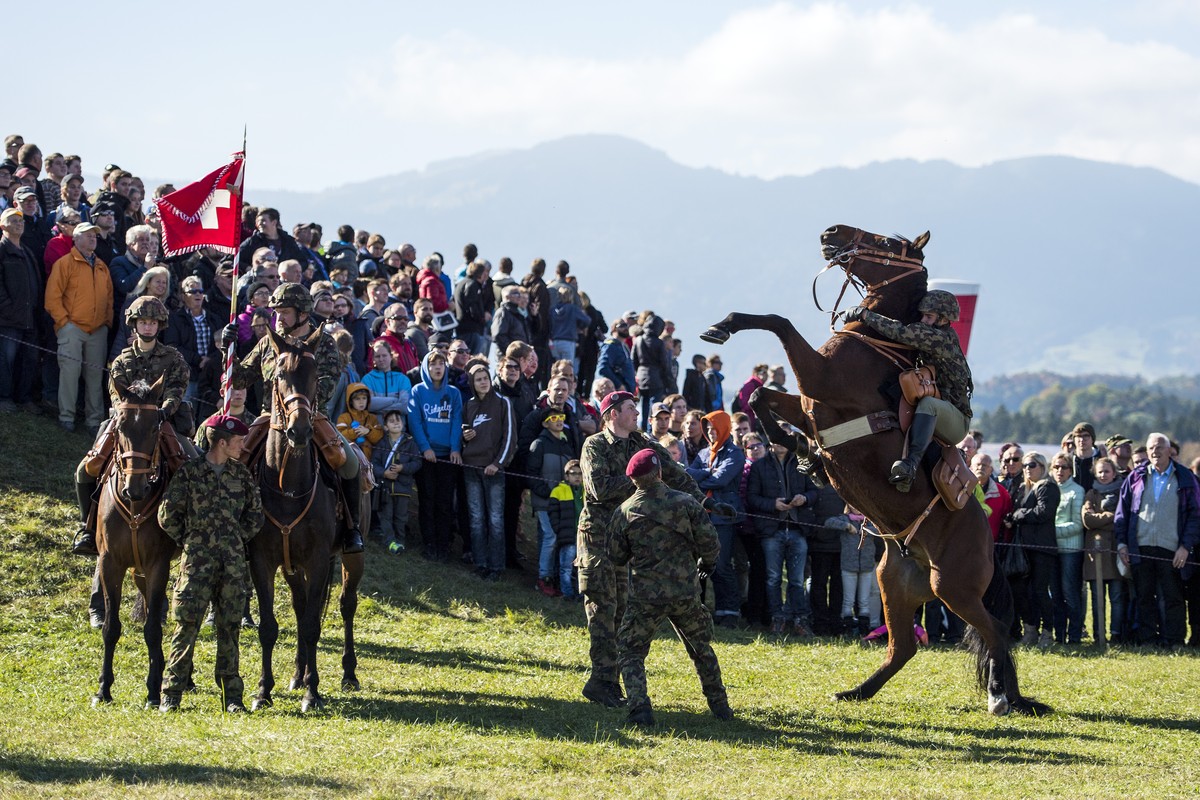 Ein Pferd scheut am Defilee beim Grossanlass "Thun meets Army", am Samstag, 22.10.16, auf dem Waffenplatz in Thun. Die Organisatoren erwarten bis zum Wochenende 160 000 Zuschauer.(KEYSTONE/P ...