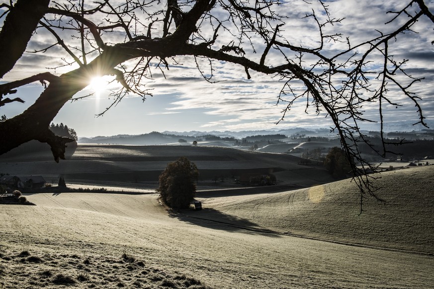 View of the Emmental in the Bernese Oberland, Switzerland, with soft rime on the grass, on Tuesday, November 8, 2016, in Schmidigen-Muehleweg. (KEYSTONE/Marcel Bieri)