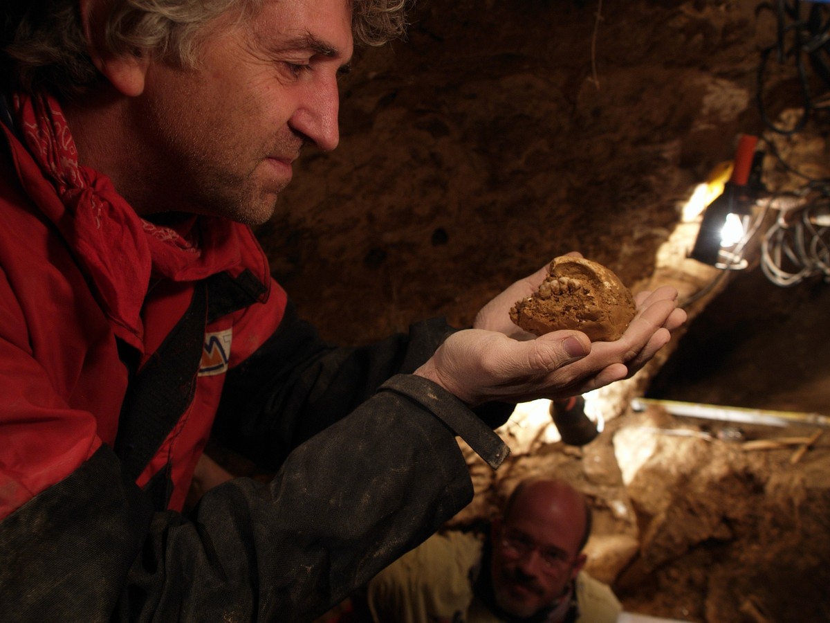 Professor Juan Luis Arsuaga mit einem Schädelfragment in Sima de los Huesos.