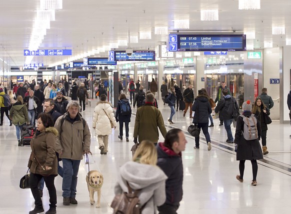 Passagiere und Pendler im Hauptbahnhof Zürich: rund 40 Prozent der Schweizer Bevölkerung besitzt ein GA oder Halbtax. (Archivbild)
