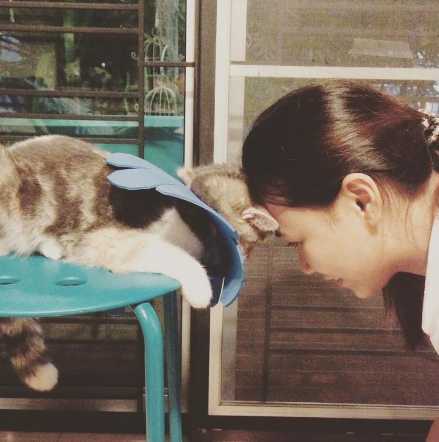 Das
  bedeutet die Körpersprache deiner Katze wirklich