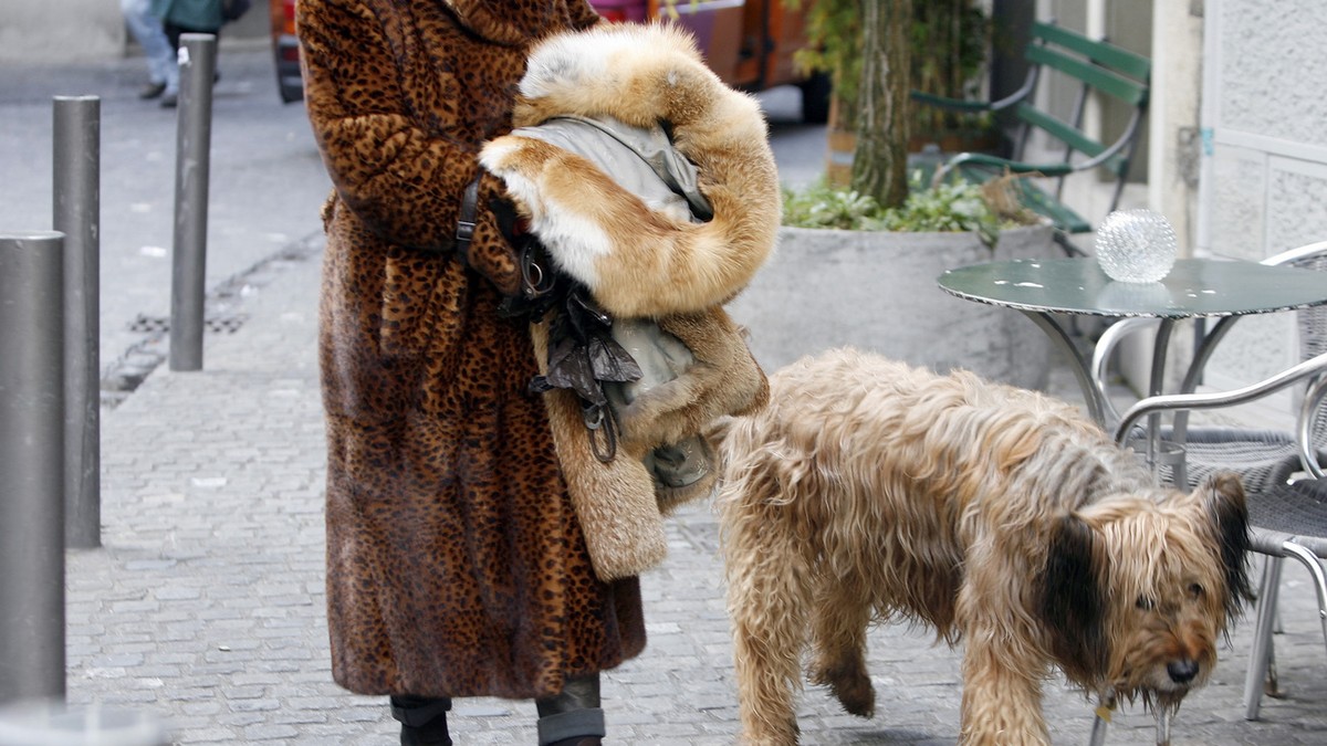 Eine Pelzliebhaberin spaziert mit ihrem Hund durch Zuerich am Dienstag, 6. Dezember 2005. (KEYSTONE/Alessandro Della Bella) === , ===