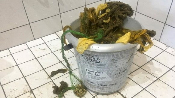 Nach der Untersuchung des Tierkadavers blieb laut den Behörden dieser Eimer voll Abfall übrig.