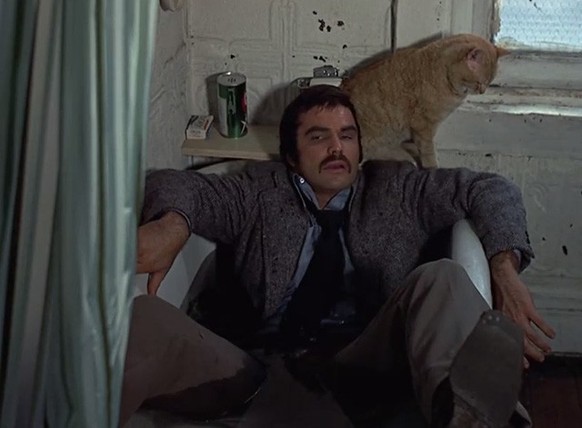 Burt Reynolds in Der Spürhund (1973)