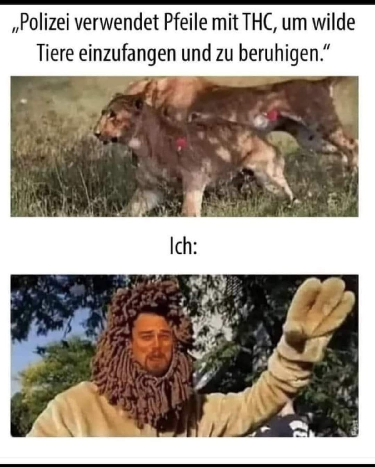 Picdump #14 – TGIM! (=Thank god it's Mittwoch)\nAnyone?