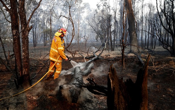 epaselect epa07986030 A firefighter works to contain a bushfire near Taree, New South Wales, Australia, 10 November 2019. Three people have reportedly been killed, five are missing and 150 homes have  ...