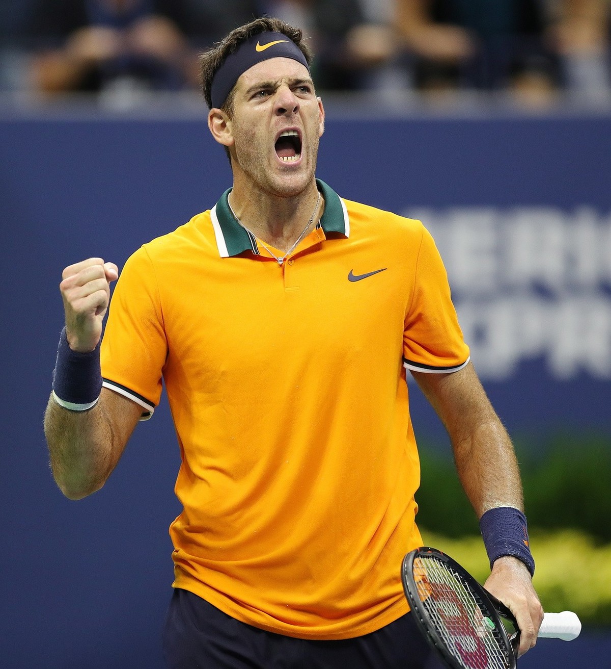 epa07009175 Juan Martin del Potro of Argentina reacts as he plays Novak Djokovic of Serbia during the men's final on the fourteenth day of the US Open Tennis Championships the USTA National Tenni ...