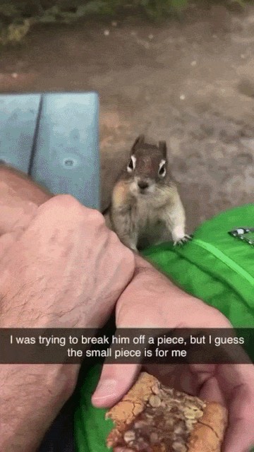GIF animé