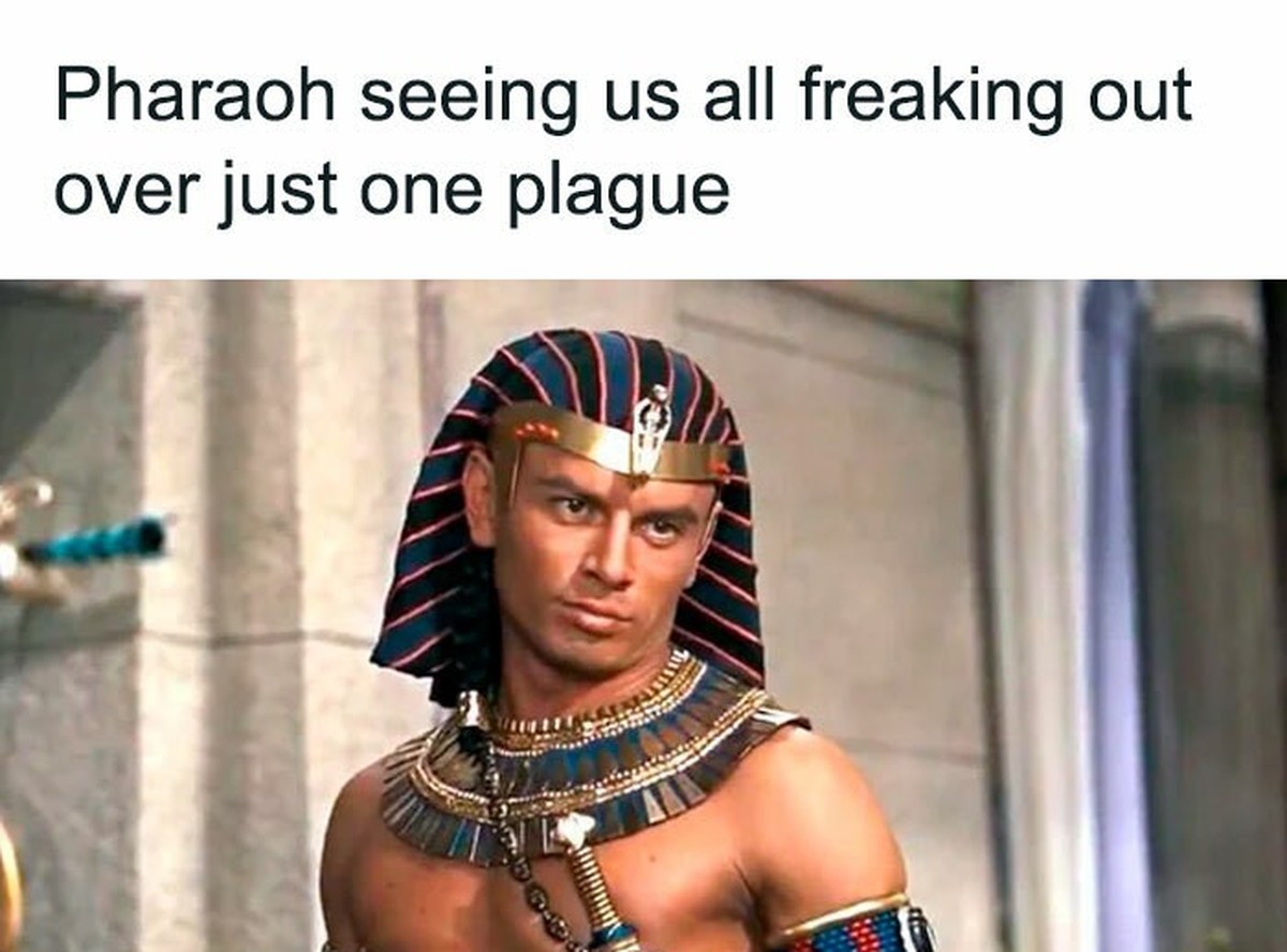 Pharao Plague Meme

https://static.boredpanda.com/blog/wp-content/uploads/2026/05/historic-memes-35-6a02c00c86833__700.jpg