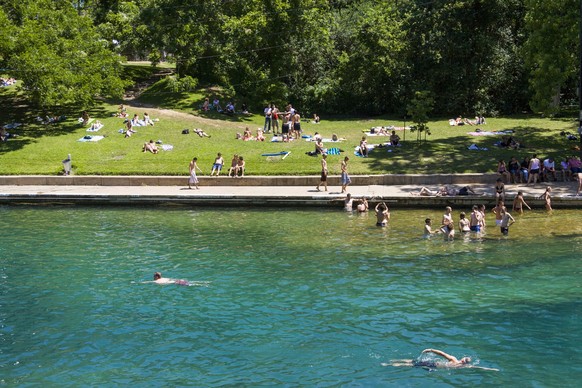 USA, Texas, Austin. Barton Springs Pool (Zilker Park), a famous spring-fed swimming hole.