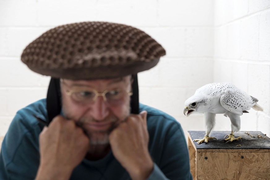 In this image released by the World Press Photo Foundation Thursday April 11, 2019, titled "Falcons and the Arab Influence" by Brent Stirton, Getty Images for National Geographic, which was ...