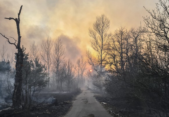 Seit dem 4. März 2020 wütet der Waldbrand in der nuklearen Sperrzone von Tschernobyl.