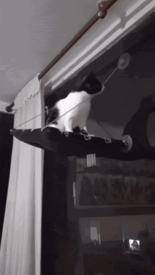 Animiertes GIF