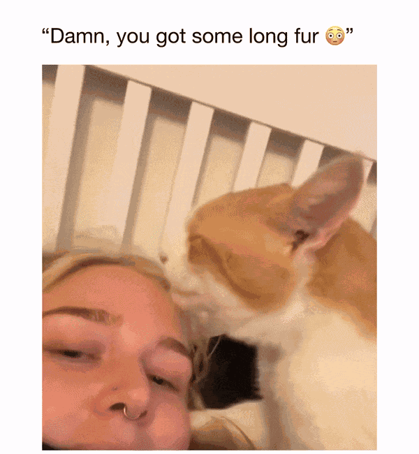 Animiertes GIF