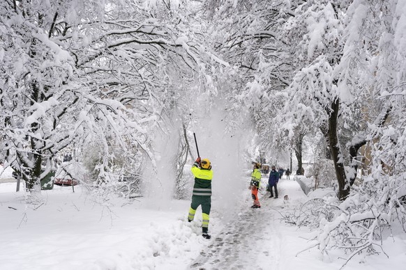 Workmen clear the streets and paths from broken branches tha lie on the snow covered streets of Zuerich after persistent snowfalls in the city on Friday, January 15, 2021.(KEYSTONE/Gaetan Bally)