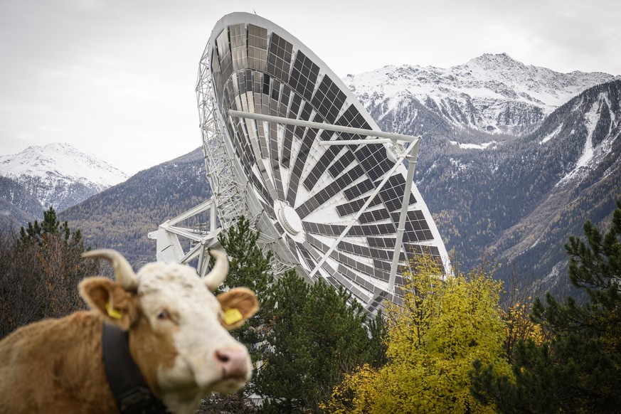 Europe's first solar installation in former satellite dishes is pictured during the inauguration of the solar innovation project at the Leuk Teleport &amp; Data Centre (TDC) this Tuesday, Novembe ...