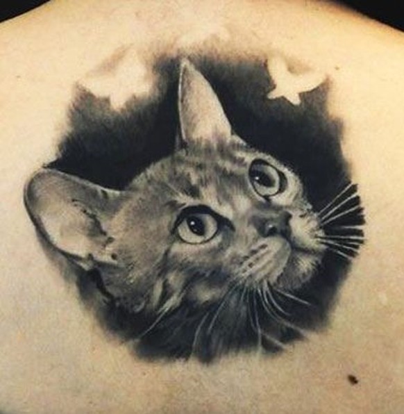 Katzentattoo